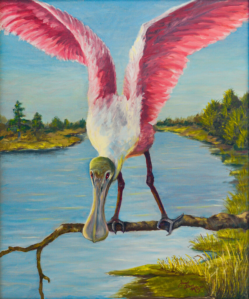 Roseate Spoonbill by Janis Clary. Fine art for sale, home and office decor. Abstract, realism, impressionism. Stuart, Martin County, Treasure Coast, Florida. MartinArts, Martin Artisans Guild. Martin County Open Studio Tour