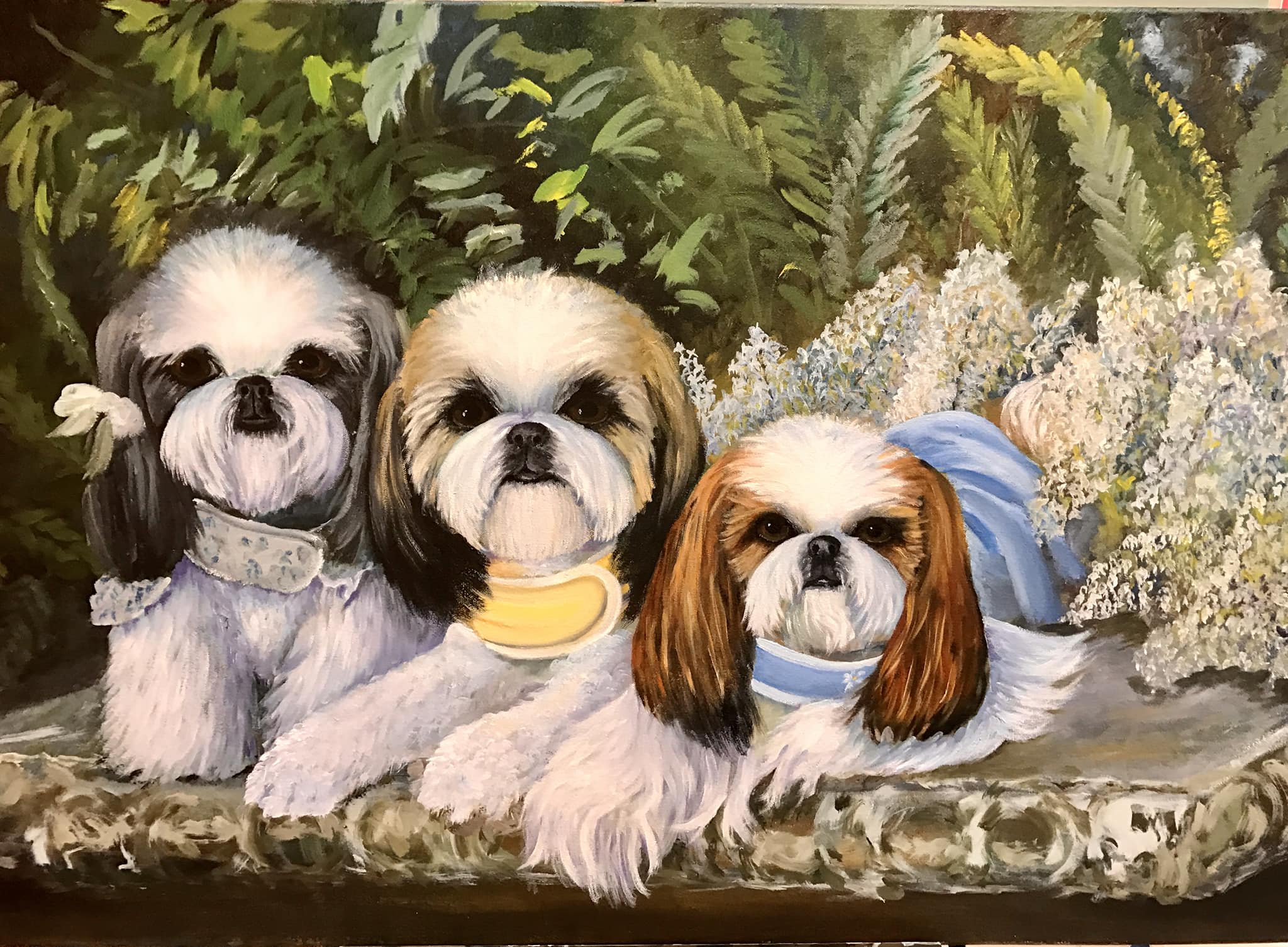 Shih Tzu, custom pet portraits oil and acrylic paintings by Janis Clary. Fine art for sale in Stuart, Martin County, Treasure Coast, Florida. MartinArts. Martin Artisans Guild. Art Collectors