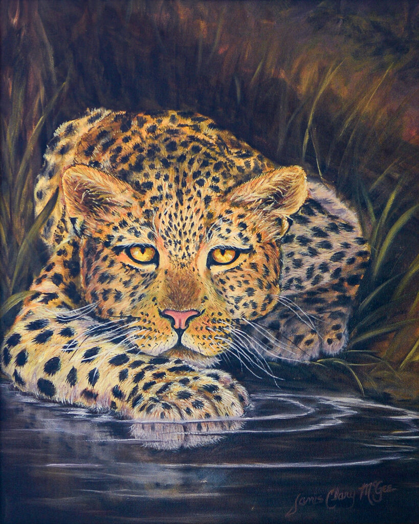 Golden Eye Leopard - Janis Clary Fine Art, Stuart, Martin County, Treasure Coast, Florida