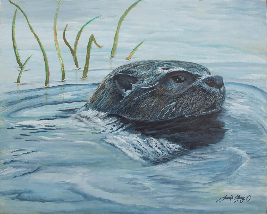 "Are You Looking At Me?" Janis Clary "O" Original Fine Art. Stuart, Martin County, Treasure Coast, Florida