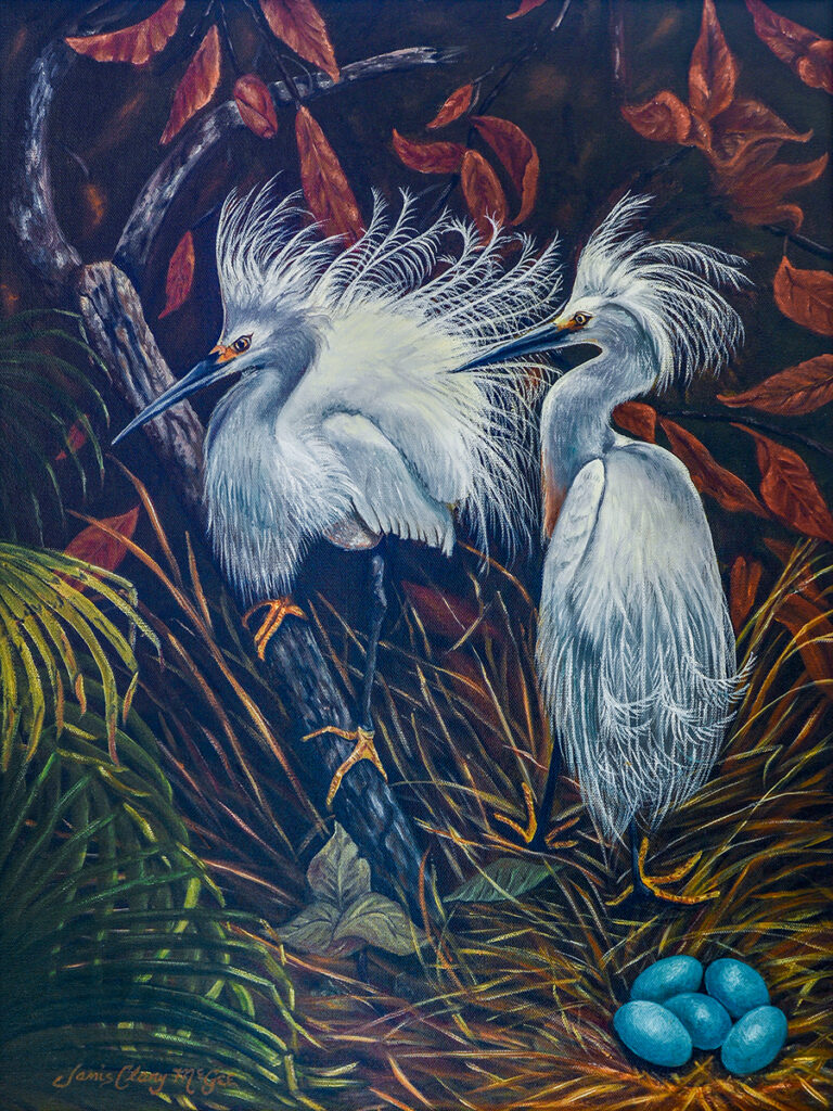 "On The Nest" Janis Clary Fine Art, Stuart, Martin County, Treasure Coast, Florida