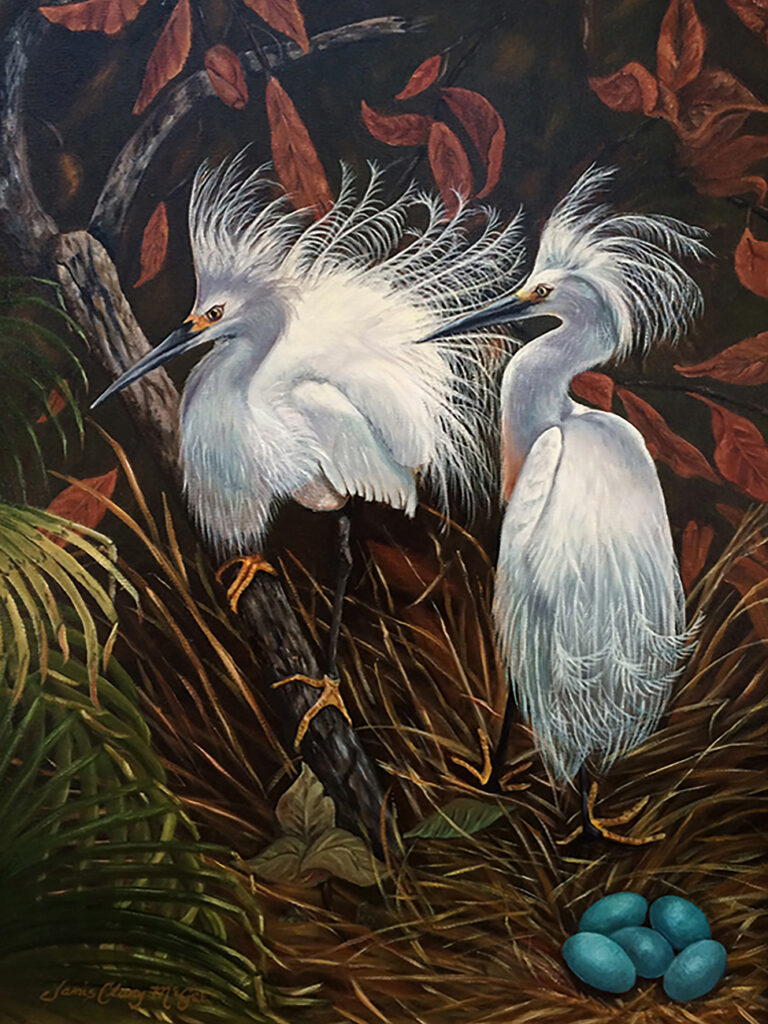 "On The Nest" Janis Clary "O" Fine Art (Oil On Canvas) 27.1/2 X 22,1/2" - $2,500.00